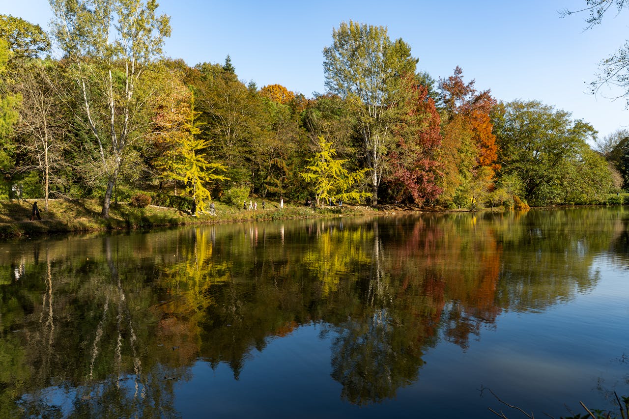 Mastering the First Impression: Your intriguing post title goes here Peaceful lake reflecting colorful autumn trees in a serene landscape setting.